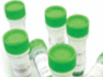 IHC Antigen Retrieval Solution – Low pH (10X) 货号：00-4955-58