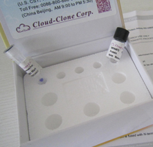 人脂联素ELISA试剂盒 货号：RD195023100