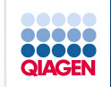 QIAGEN OneStep RT-PCR Kit (25) 货号：210210