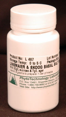 L-谷氨酰胺 货号：G229