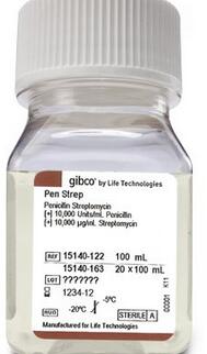GIBCO双抗，青霉素链霉素溶液 双抗 货号：15140122