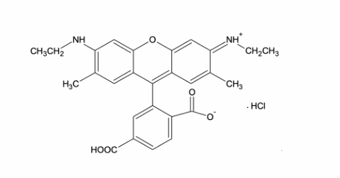 6-Carboxyrhodamine 6G, hydrochloride, 6-CR6G,6-Carboxyrhodamine 6G, hydrochloride,