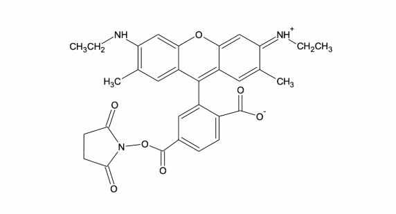6-Carboxyrhodamine 6G, succinimidyl ester（Single isomer）, 6-CR6G, SE,6-Carboxyrhodamine 6G, succinimidyl ester（Single isomer）,