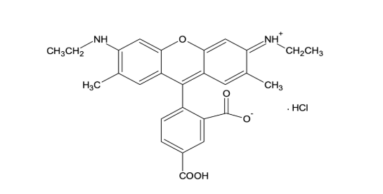 5-Carboxyrhodamine 6G（Single isomer）