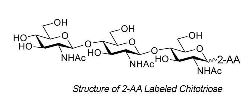 2-AA Chitotriose - Quantitative